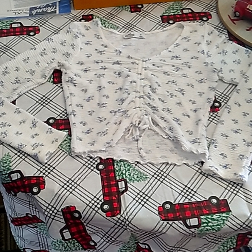 Hollister Crop top
